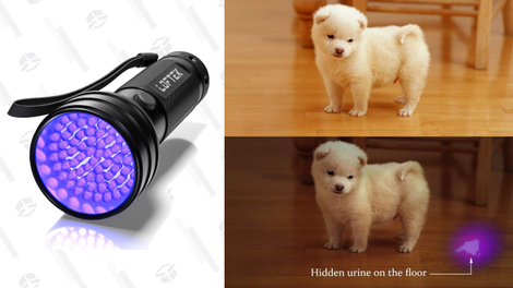 LOFTEK UV Flashlight Black Light, 51 LED 395 nM Ultraviolet Flashlight | $8 | Amazon